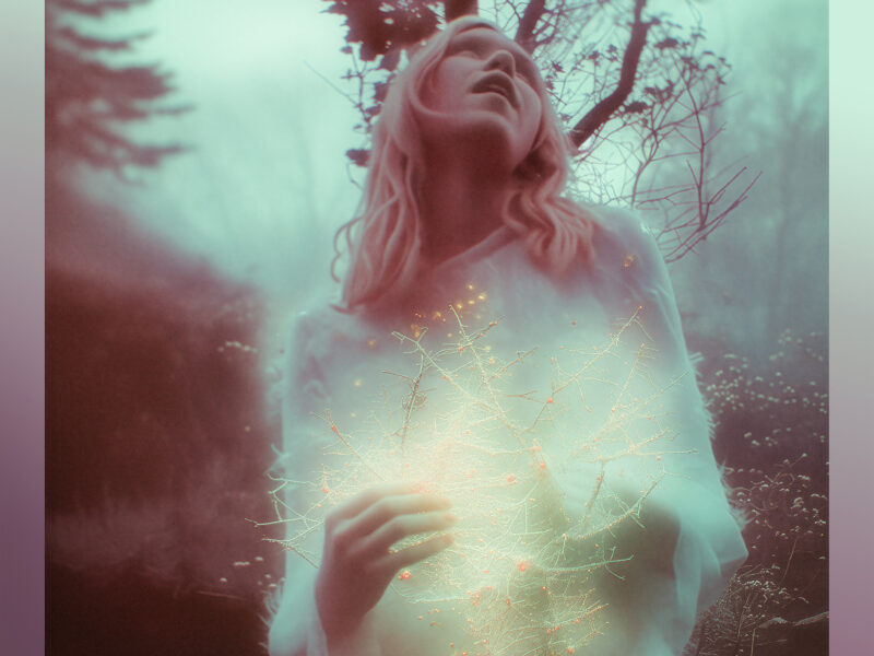 Younger Brother - I Belong To Nowhere